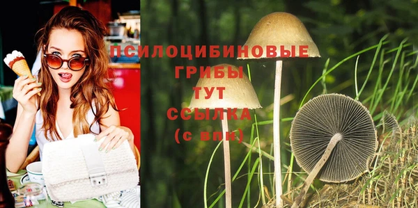 метадон Верея